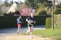 IMG_8334