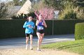 IMG_8338