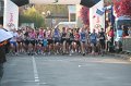 IMG_8391
