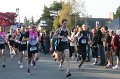 IMG_8401